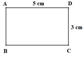 Toán 6 Bài tập cuối chương 3 – Chân trời sáng tạo