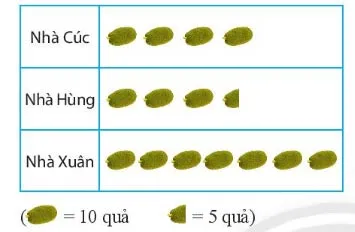 Toán 6 Bài tập cuối chương 4 – Chân trời sáng tạo