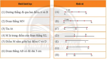 Toán 6 Bài tập cuối chương 8 – Chân trời sáng tạo