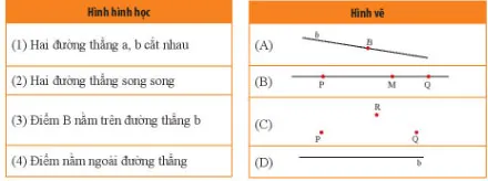 Toán 6 Bài tập cuối chương 8 – Chân trời sáng tạo