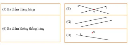 Toán 6 Bài tập cuối chương 8 – Chân trời sáng tạo