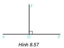 Toán 6 Bài tập cuối chương VIII – Kết nối tri thức với cuộc sống