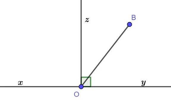 Toán 6 Bài tập cuối chương VIII – Kết nối tri thức với cuộc sống