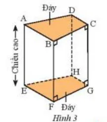 Toán 7 Bài 3: Hình lăng trụ đứng tam giác – Hình lăng trụ đứng tứ giác