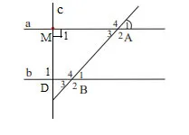 Toán 7 Bài tập cuối chương 4 – Chân trời sáng tạo