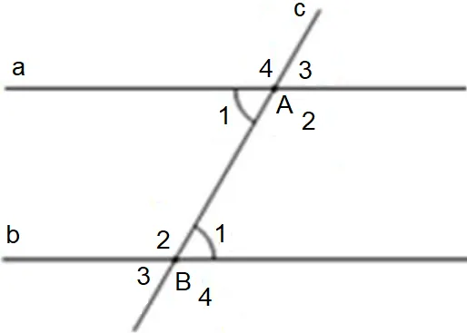 Toán 7 Bài tập cuối chương IV – Cánh diều