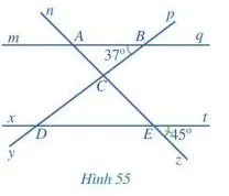 Toán 7 Bài tập cuối chương IV – Cánh diều