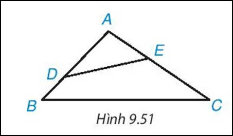 Toán 7 Bài tập cuối chương IX – Kết nối tri thức với cuộc sống