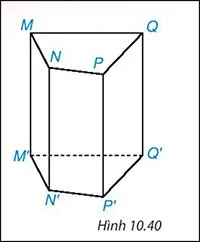 Toán 7 Luyện tập trang 100