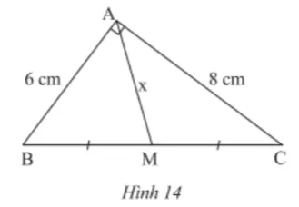 Toán 8 Bài 5: Hình chữ nhật – Hình vuông