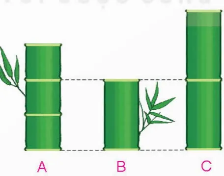 Toán lớp 4 Bài 63: Phép nhân phân số