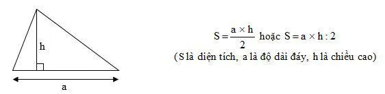 Toán lớp 5: Diện tích hình tam giác trang 87