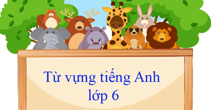 Tổng hợp từ vựng tiếng Anh lớp 6