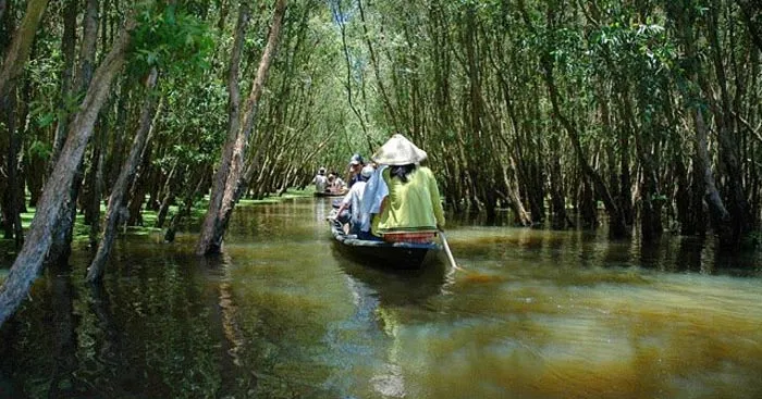 Văn mẫu lớp 10: Dàn ý phân tích bài thơ Đi trong hương tràm