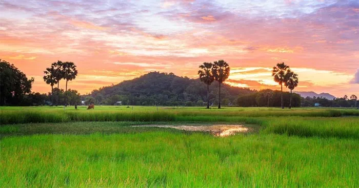 Văn mẫu lớp 10: Đoạn văn nói về vẻ đẹp của tình yêu luôn gắn với hình ảnh quê hương qua Đi trong hương tràm