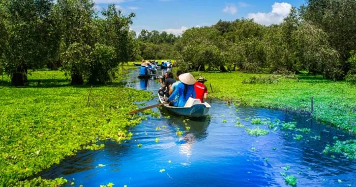 Văn mẫu lớp 10: Phân tích bài thơ Đi trong hương tràm (Dàn ý + 3 Mẫu)