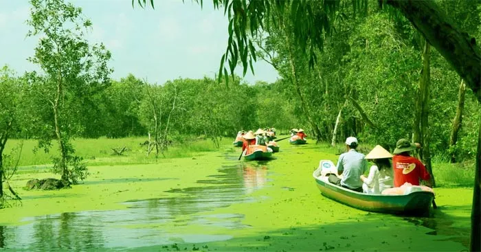 Văn mẫu lớp 10: Phân tích bài thơ Đi trong hương tràm (Dàn ý + 3 Mẫu)