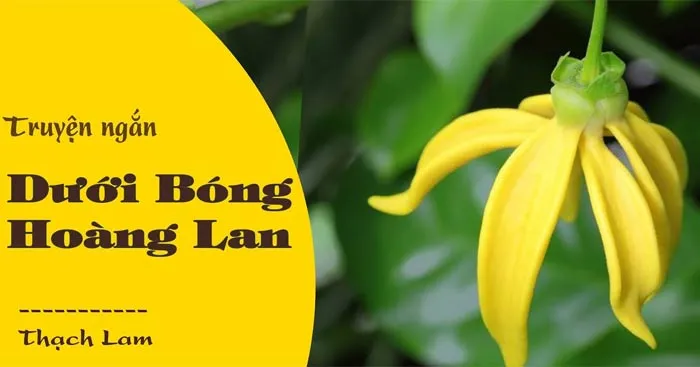 Văn mẫu lớp 10: Phân tích Dưới bóng hoàng lan của Thạch Lam