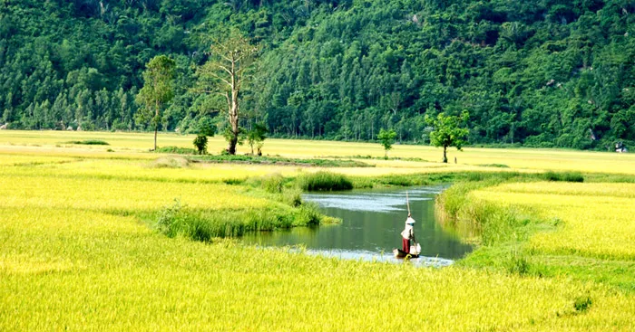 Văn mẫu lớp 10: Thuyết minh về một vùng quê (9 mẫu)