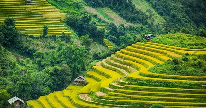 Văn mẫu lớp 12: Phân tích khung cảnh ra trận trong bài thơ Việt Bắc