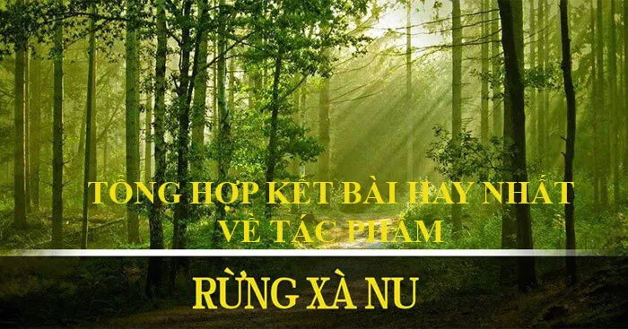 Văn mẫu lớp 12: Tổng hợp kết bài về tác phẩm Rừng xà nu (66 mẫu)