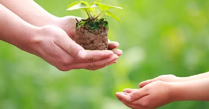 Văn mẫu lớp 12: Viết đoạn văn nghị luận về câu nói Cho đi là còn mãi (8 Mẫu)