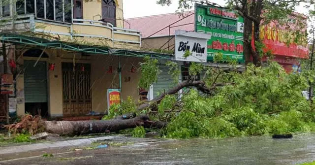 Văn mẫu lớp 6: Tả cơn bão theo trí tưởng tượng của em (Dàn ý + 7 mẫu)