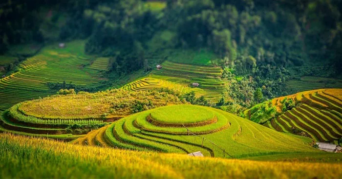 Văn mẫu lớp 6: Viết đoạn văn về một cảnh đẹp thiên nhiên có sử dụng biện pháp tu từ so sánh, ẩn dụ