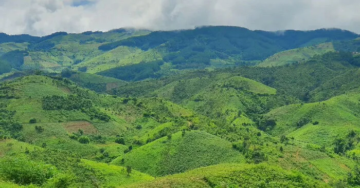 Văn mẫu lớp 8: Đoạn văn trình bày suy nghĩ của em về hình ảnh “em gái tiền phương” trong bài thơ Lá đỏ