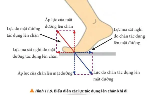 Vật lí 10 Bài 11: Một số lực trong thực tiễn