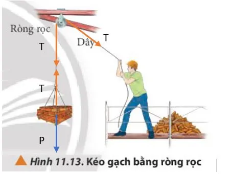 Vật lí 10 Bài 11: Một số lực trong thực tiễn