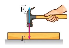 Vật lí 10 Bài 16: Định luật 3 Newton