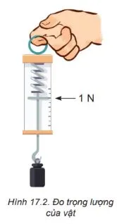 Vật lí 10 Bài 17: Trọng lực và lực căng