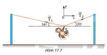 Vật lí 10 Bài 17: Trọng lực và lực căng