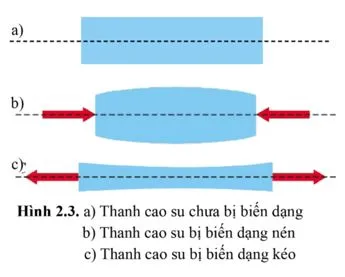 Vật Lí 10 Bài 2: Sự biến dạng