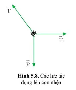 Vật Lí 10 Bài 5: Tổng hợp và phân tích lực