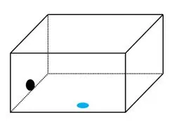 Vật lí 10: Bài tập chủ đề 2