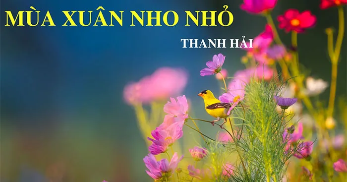 Viết đoạn văn cảm nhận về ước nguyện của nhà thơ Thanh Hải trong Mùa xuân nho nhỏ