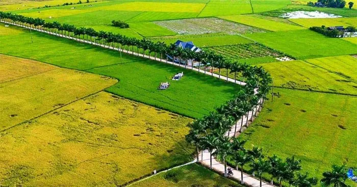 Viết đoạn văn tiếng Anh về bất lợi khi sống ở nông thôn (4 Mẫu)