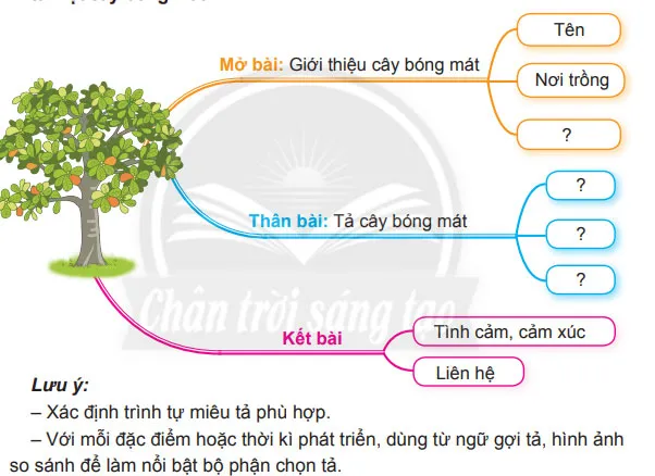 Viết: Lập dàn ý cho bài văn miêu tả cây cối – Tiếng Việt 4 Chân trời sáng tạo