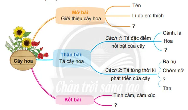 Viết: Luyện tập lập dàn ý cho bài văn miêu tả cây cối – Tiếng Việt 4 Chân trời sáng tạo