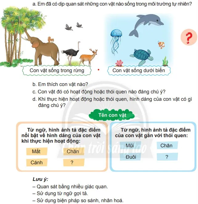 Viết: Luyện tập quan sát, tìm ý cho bài văn miêu tả con vật – Tiếng Việt 4 Chân trời sáng tạo