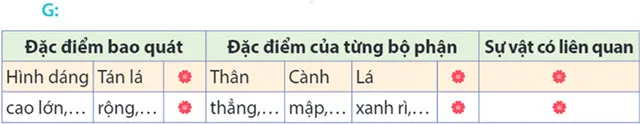 Viết: Quan sát cây cối – Tiếng Việt 4 Kết nối tri thức