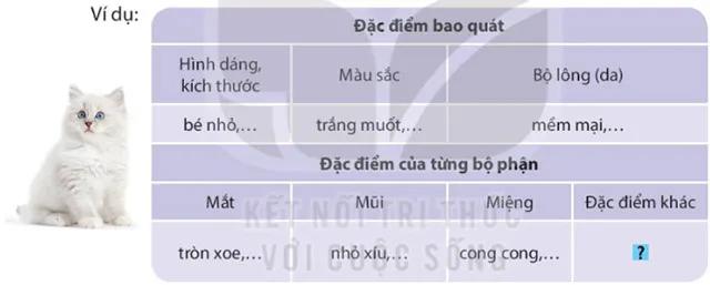 Viết: Quan sát con vật – Tiếng Việt 4 Kết nối tri thức