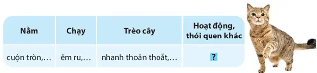 Viết: Quan sát con vật – Tiếng Việt 4 Kết nối tri thức