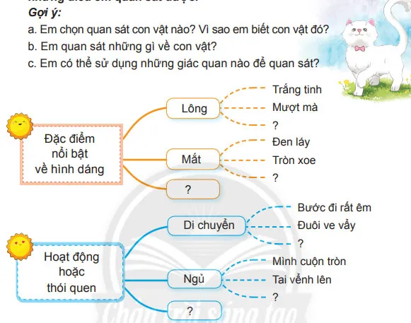 Viết: Quan sát, tìm ý cho bài văn miêu tả con vật – Tiếng Việt 4 Chân trời sáng tạo