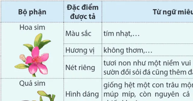 Viết: Tìm hiểu cách viết bài văn miêu tả cây cối – Tiếng Việt 4 Kết nối tri thức