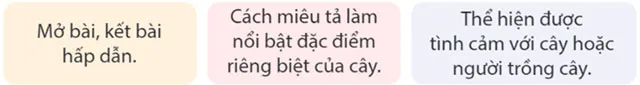 Viết: Trả bài văn miêu tả cây cối – Tiếng Việt 4 Kết nối tri thức