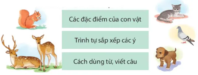 Viết: Viết bài văn miêu tả con vật – Tiếng Việt 4 Kết nối tri thức