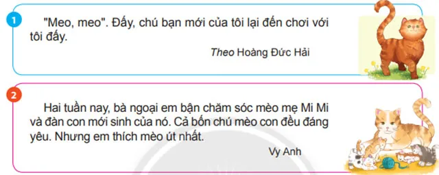 Viết: Viết đoạn mở bài và đoạn kết bài cho bài văn miêu tả con vật – Tiếng Việt 4 Chân trời sáng tạo